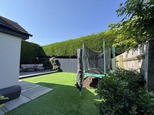 TRAMPOLINE- click for photo gallery